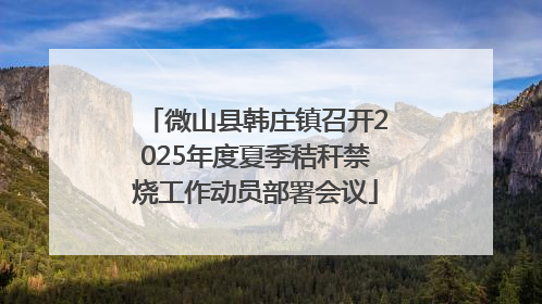 微山县韩庄镇召开2025年度夏季秸秆禁烧工作动员部署会议