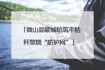 微山县驩城镇筑牢秸秆禁烧“防护网”