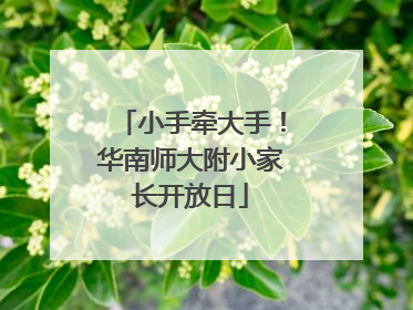 小手牵大手！华南师大附小家长开放日