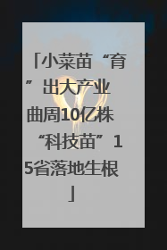 小菜苗“育”出大产业 曲周10亿株“科技苗”15省落地生根