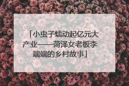 小虫子蠕动起亿元大产业——菏泽女老板李端端的乡村故事