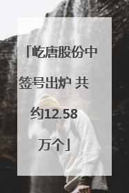 屹唐股份中签号出炉 共约12.58万个
