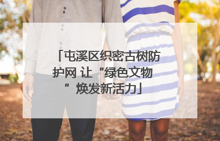 屯溪区织密古树防护网 让“绿色文物”焕发新活力