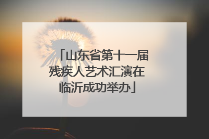 山东省第十一届残疾人艺术汇演在临沂成功举办