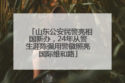 山东公安民警亮相国新办，24年从警生涯陈强用警徽照亮国际维和路