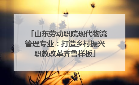 山东劳动职院现代物流管理专业：打造乡村振兴职教改革齐鲁样板