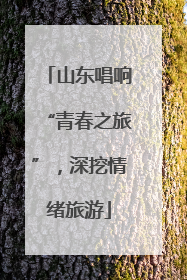 山东唱响“青春之旅”，深挖情绪旅游