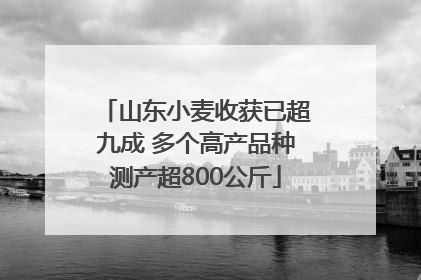 山东小麦收获已超九成 多个高产品种测产超800公斤