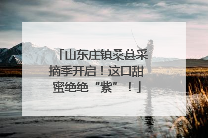 山东庄镇桑葚采摘季开启！这口甜蜜绝绝“紫”！