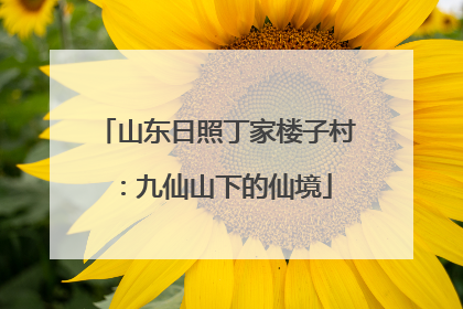 山东日照丁家楼子村：九仙山下的仙境