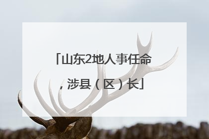 山东2地人事任命，涉县（区）长
