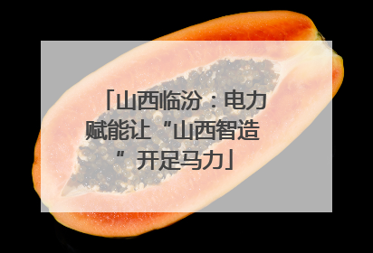 山西临汾：电力赋能让“山西智造”开足马力