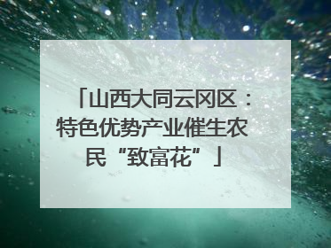 山西大同云冈区：特色优势产业催生农民“致富花”