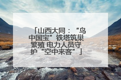 山西大同：“鸟中国宝”铁塔筑巢繁殖 电力人员守护“空中来客”