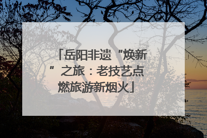 岳阳非遗“焕新”之旅：老技艺点燃旅游新烟火