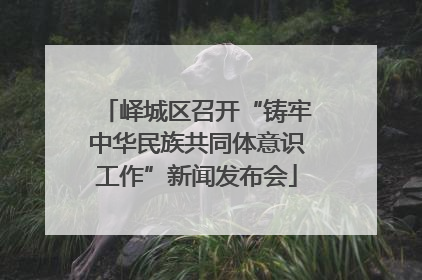 峄城区召开“铸牢中华民族共同体意识工作”新闻发布会