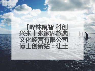 峰林聚智 科创兴张丨张家界旅典文化经营有限公司博士创新站：让土家织锦“智”造出非遗新传奇