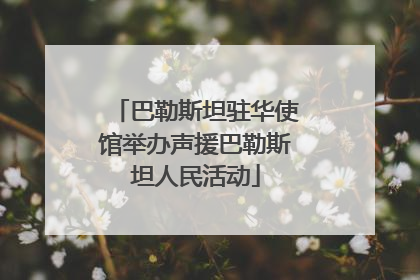 巴勒斯坦驻华使馆举办声援巴勒斯坦人民活动