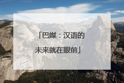 巴媒：汉语的未来就在眼前