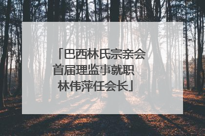 巴西林氏宗亲会首届理监事就职 林伟萍任会长
