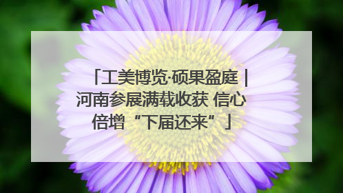 工美博览·硕果盈庭|河南参展满载收获 信心倍增“下届还来”