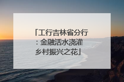 工行吉林省分行：金融活水浇灌 乡村振兴之花