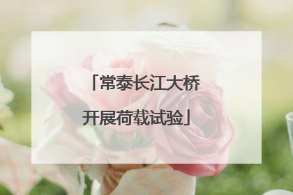 常泰长江大桥开展荷载试验