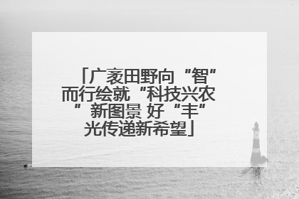 广袤田野向“智”而行绘就“科技兴农”新图景 好“丰”光传递新希望
