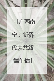 广西南宁：新侨代表共叙端午情