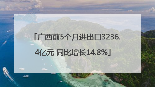 广西前5个月进出口3236.4亿元 同比增长14.8%