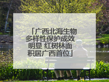 广西北海生物多样性保护成效明显 红树林面积居广西首位
