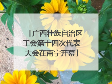 广西壮族自治区工会第十四次代表大会在南宁开幕