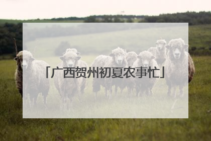 广西贺州初夏农事忙