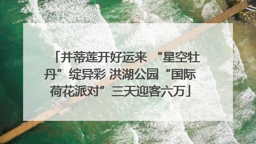 并蒂莲开好运来 “星空牡丹”绽异彩 洪湖公园“国际荷花派对”三天迎客六万