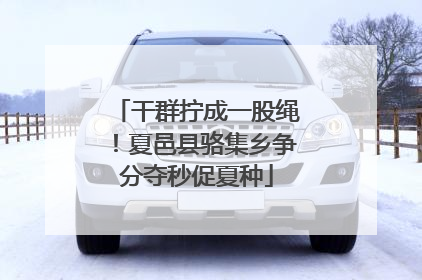干群拧成一股绳！夏邑县骆集乡争分夺秒促夏种