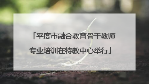 平度市融合教育骨干教师专业培训在特教中心举行
