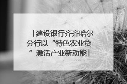 建设银行齐齐哈尔分行以“特色农业贷”激活产业新动能