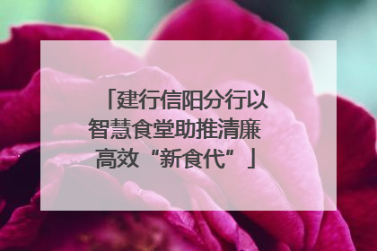 建行信阳分行以智慧食堂助推清廉高效“新食代”