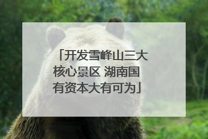 开发雪峰山三大核心景区 湖南国有资本大有可为