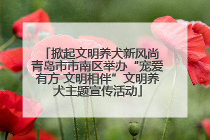 掀起文明养犬新风尚 青岛市市南区举办“宠爱有方 文明相伴”文明养犬主题宣传活动