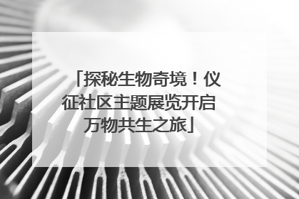 探秘生物奇境！仪征社区主题展览开启万物共生之旅