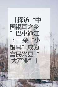 探访“中国银耳之乡”巴中通江：一朵“小银耳”成为富民兴县“大产业”