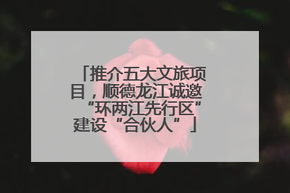 推介五大文旅项目，顺德龙江诚邀“环两江先行区”建设“合伙人”