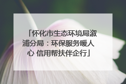 怀化市生态环境局溆浦分局：环保服务暖人心 信用帮扶伴企行