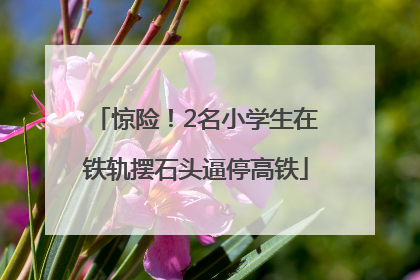 惊险！2名小学生在铁轨摆石头逼停高铁