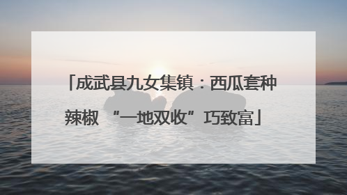 成武县九女集镇：西瓜套种辣椒 “一地双收”巧致富