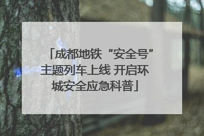 成都地铁“安全号”主题列车上线 开启环城安全应急科普