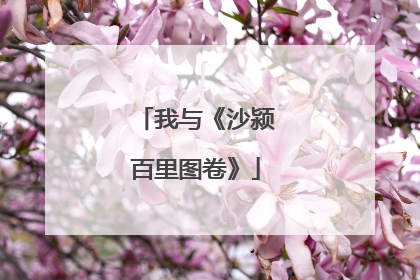 我与《沙颍百里图卷》