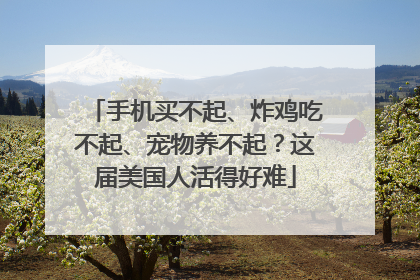 手机买不起、炸鸡吃不起、宠物养不起？这届美国人活得好难