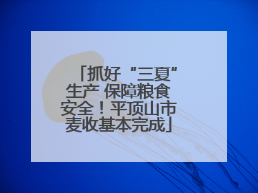 抓好“三夏”生产 保障粮食安全！平顶山市麦收基本完成